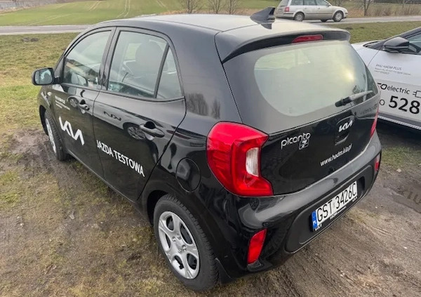 Kia Picanto cena 66900 przebieg: 1500, rok produkcji 2023 z Jastarnia małe 11